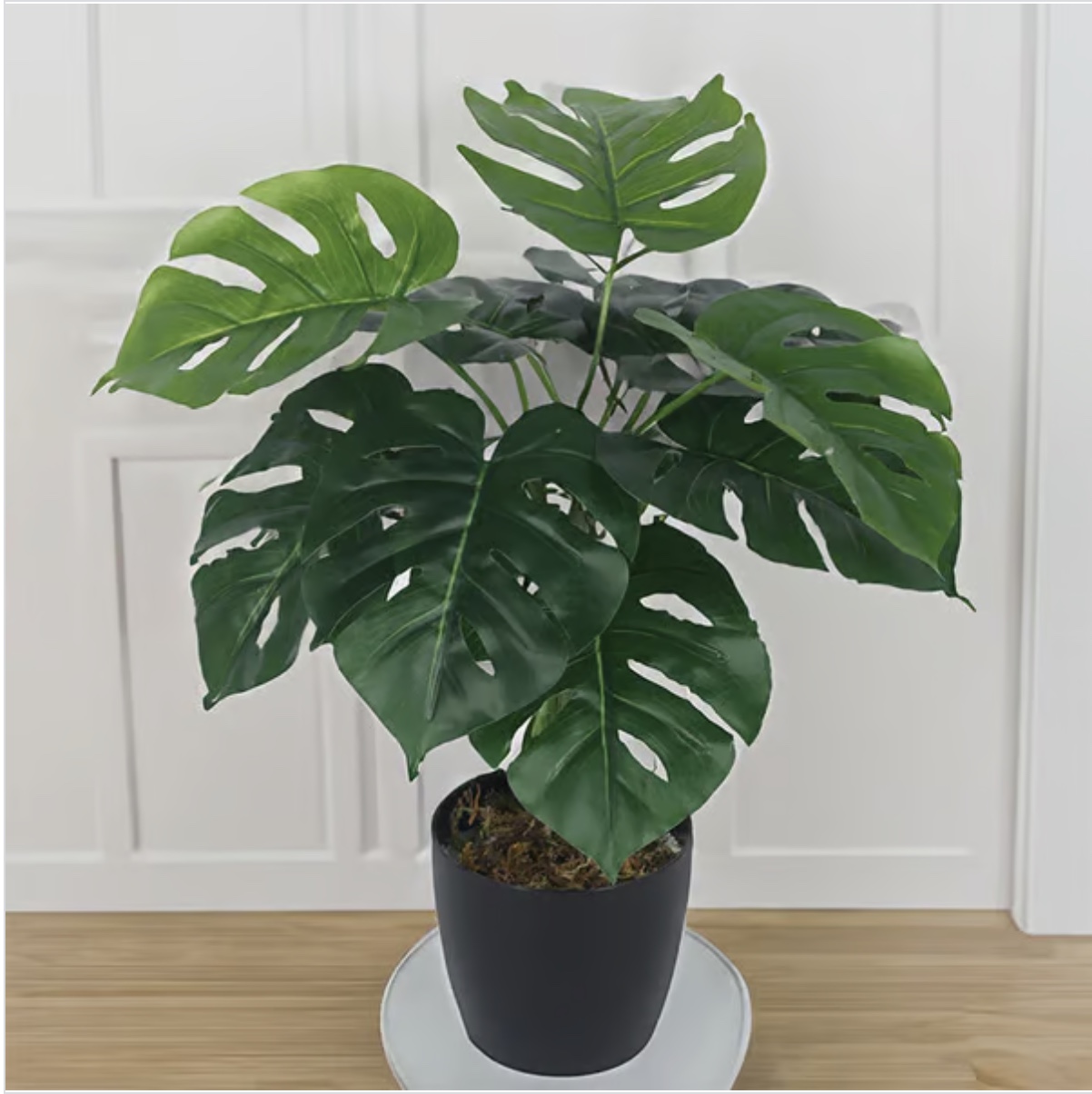 Faux Multicolour Monstera Silk Plant 
