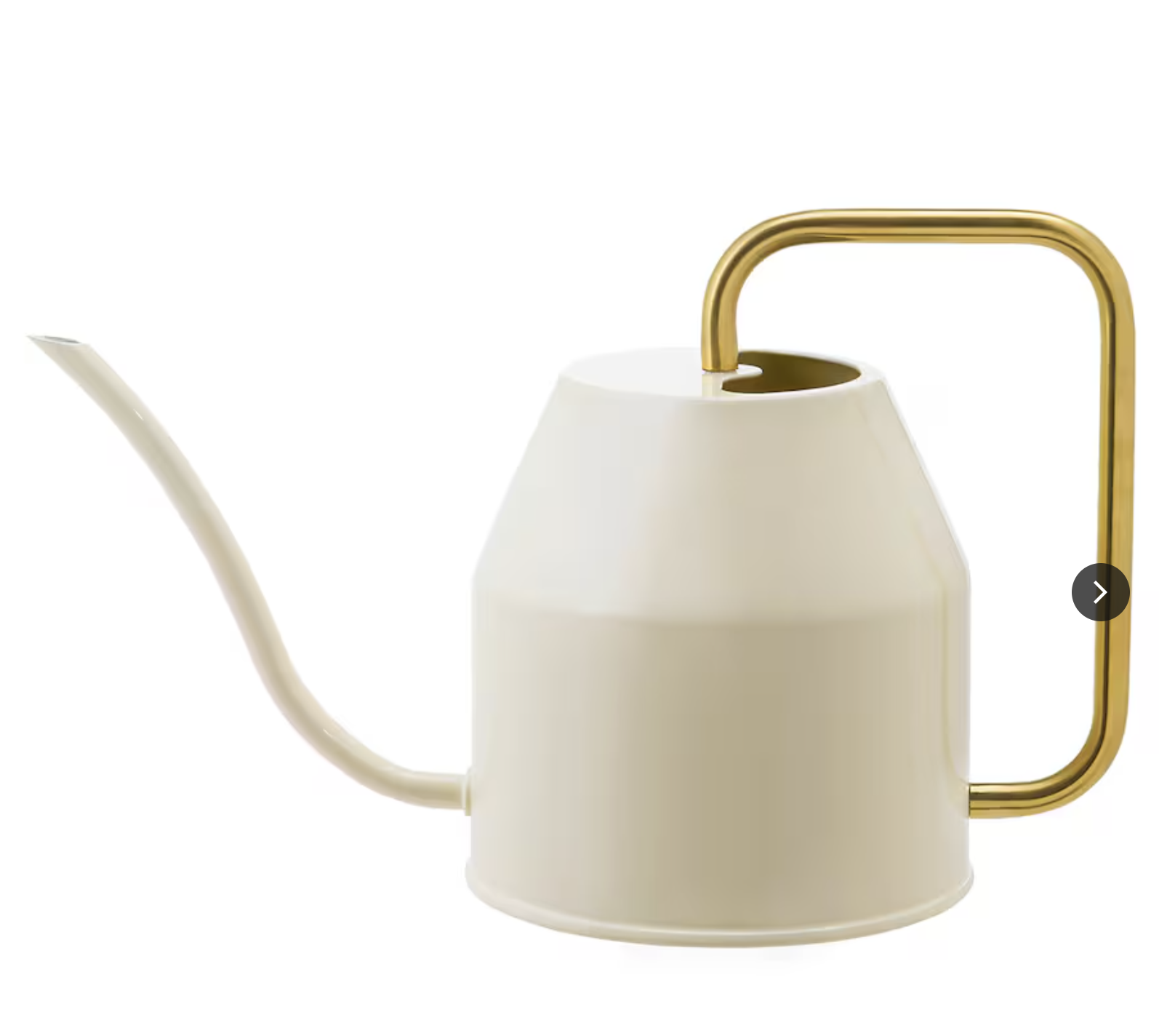 White Watering Can