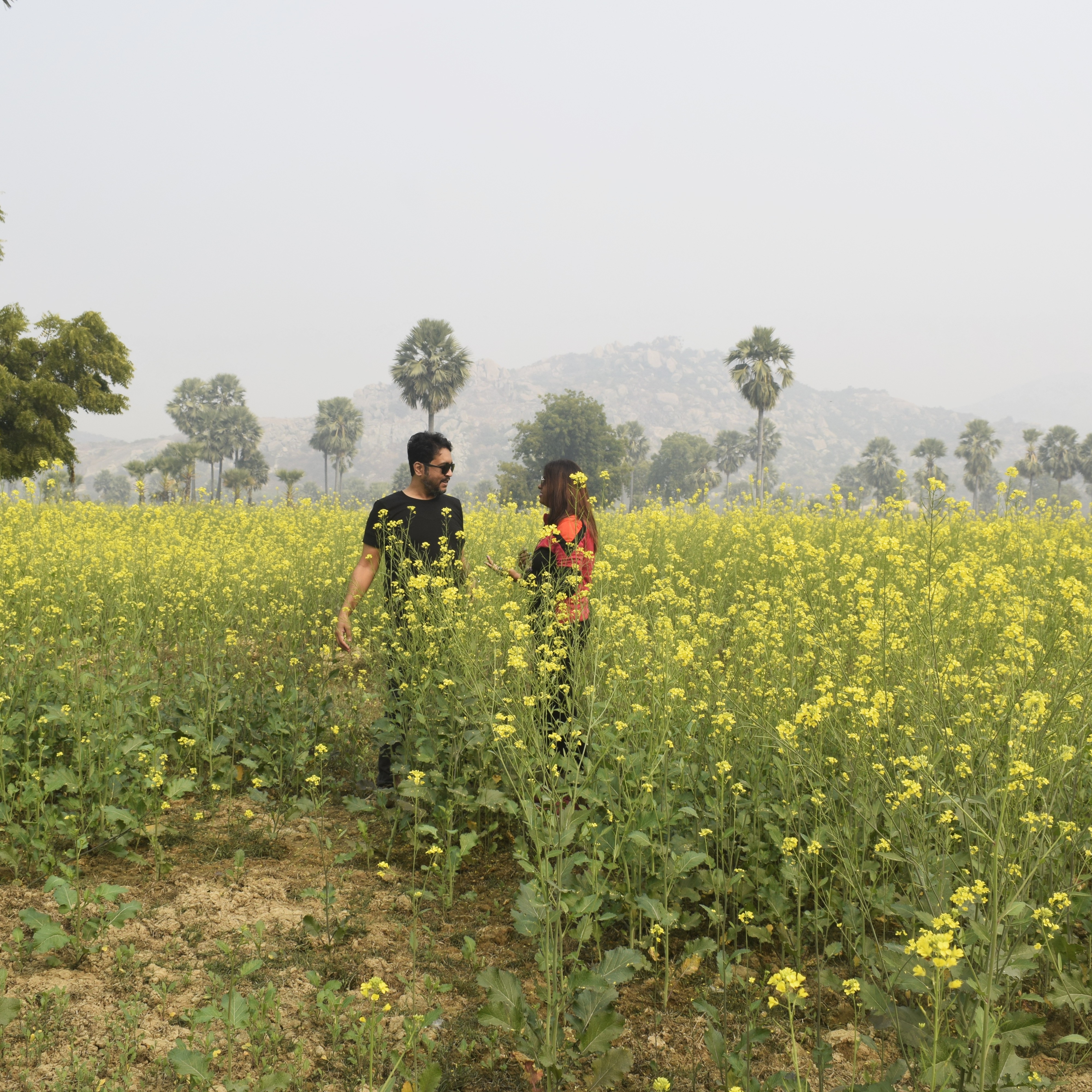 Barabar Tent Stay @ ₹551