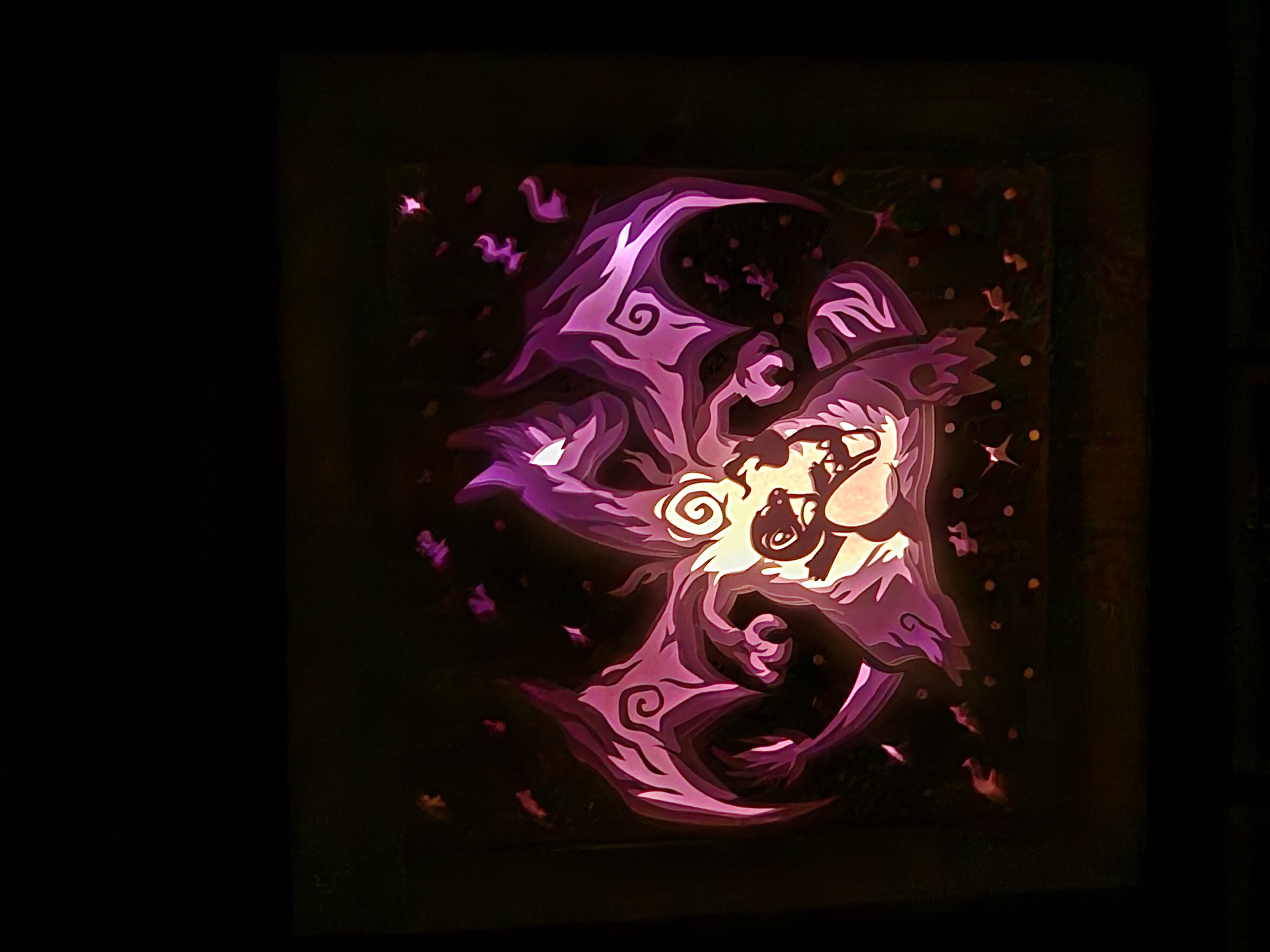 Shadow Box - Dracaufeu 2