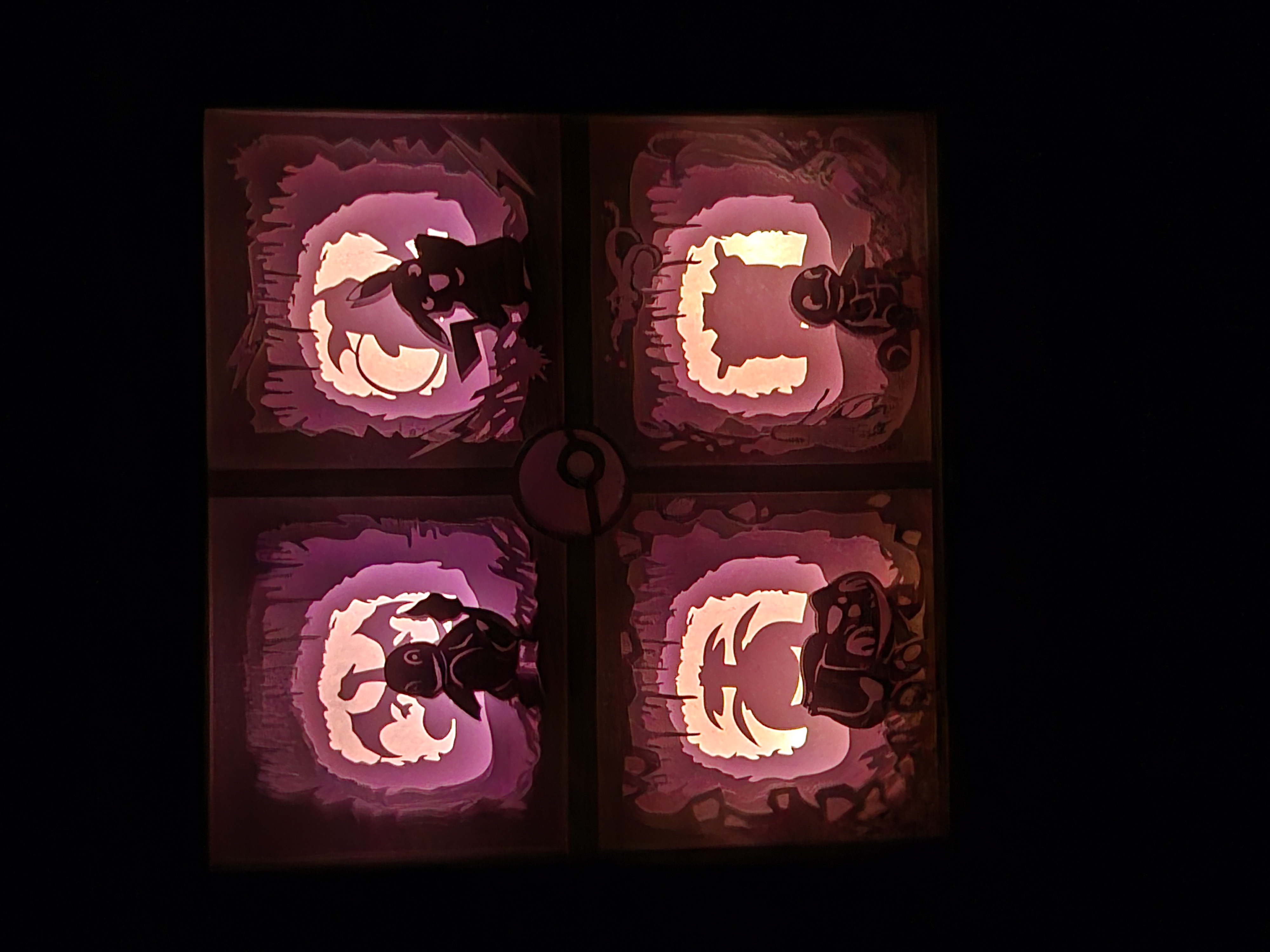 Shadow Box - Pokemon