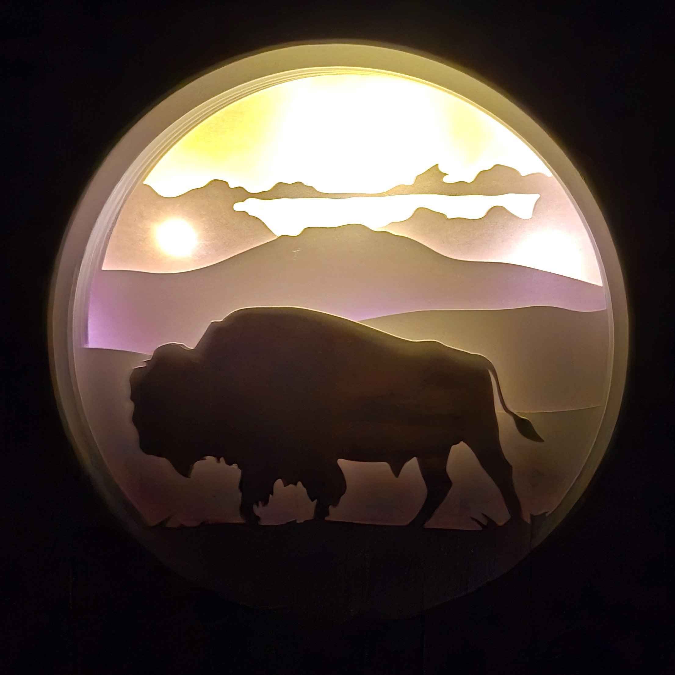 Shadow Box - Bison