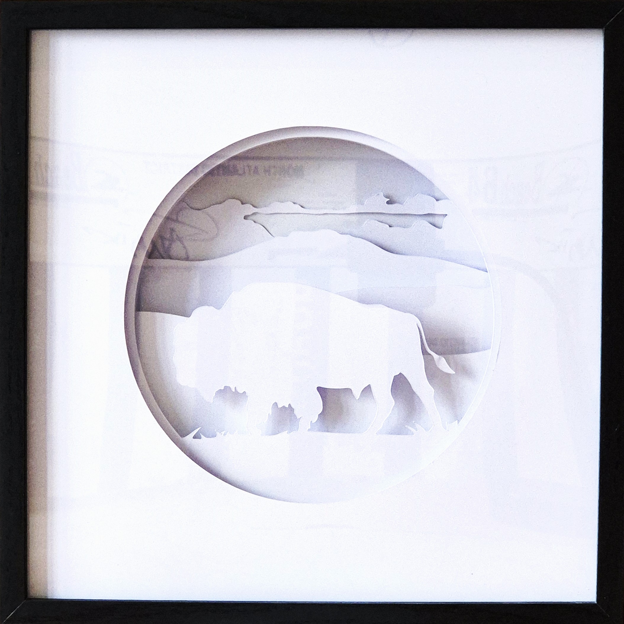 Shadow Box - Bison
