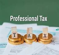 Professional Tax Service