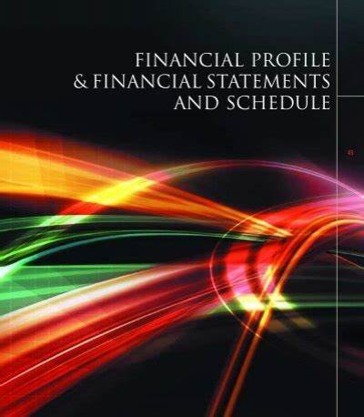 Financial Profile Creator 