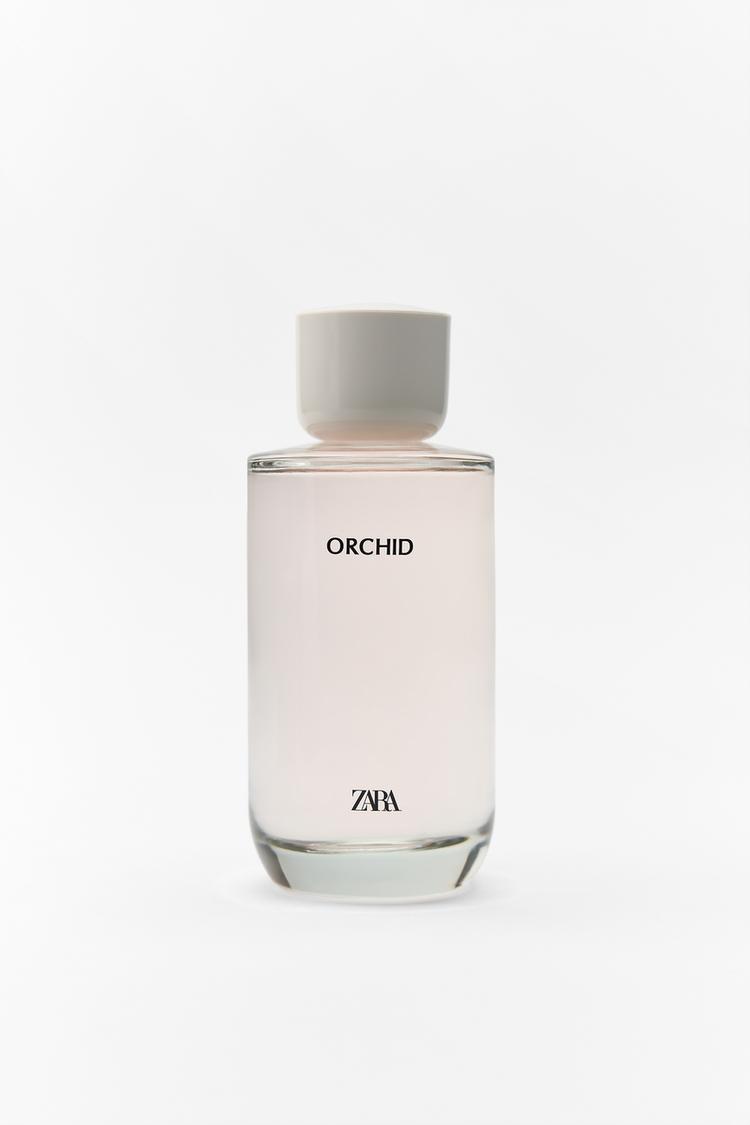 ZARA ORCHID 