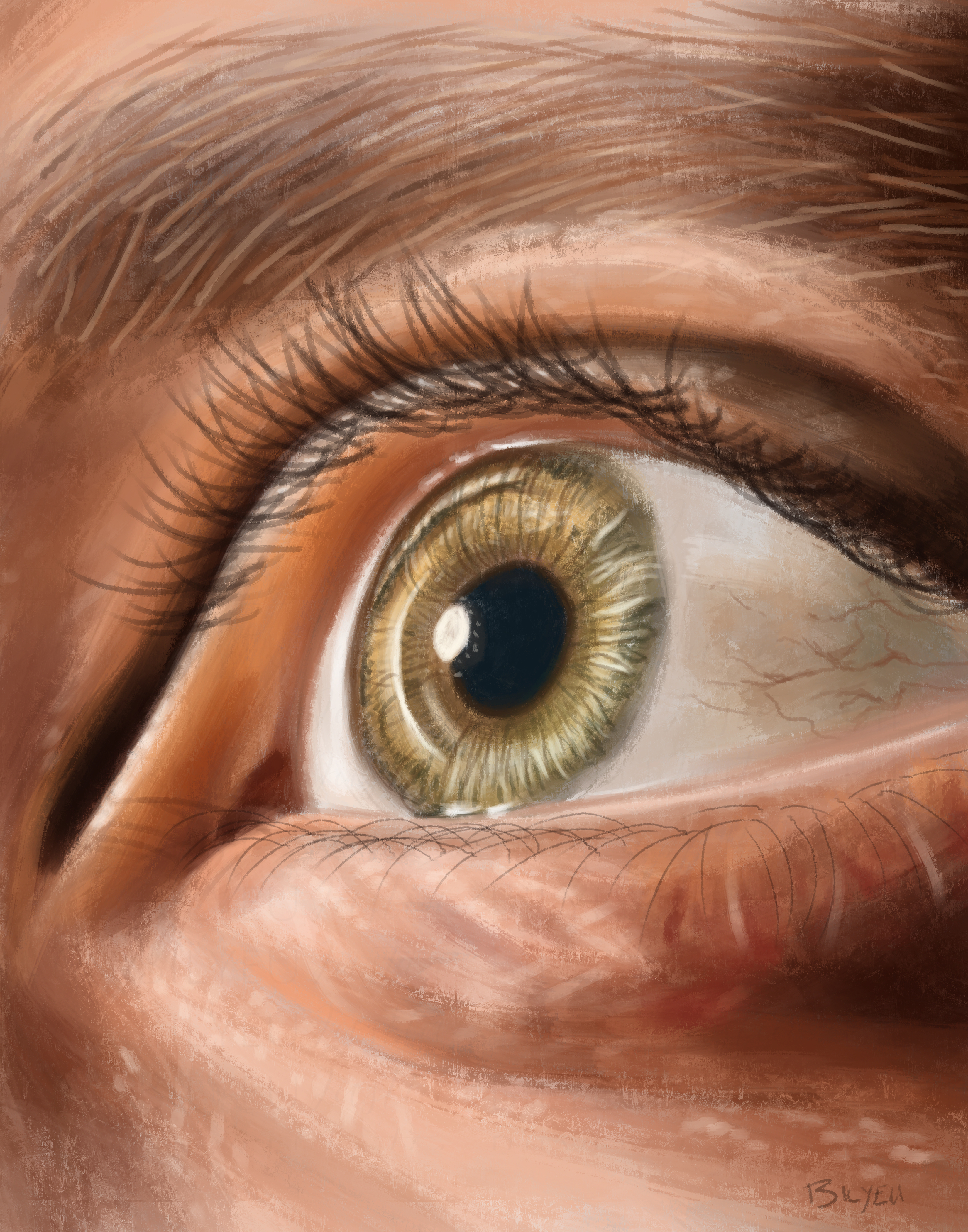 The Watching Eye - Canvas Print