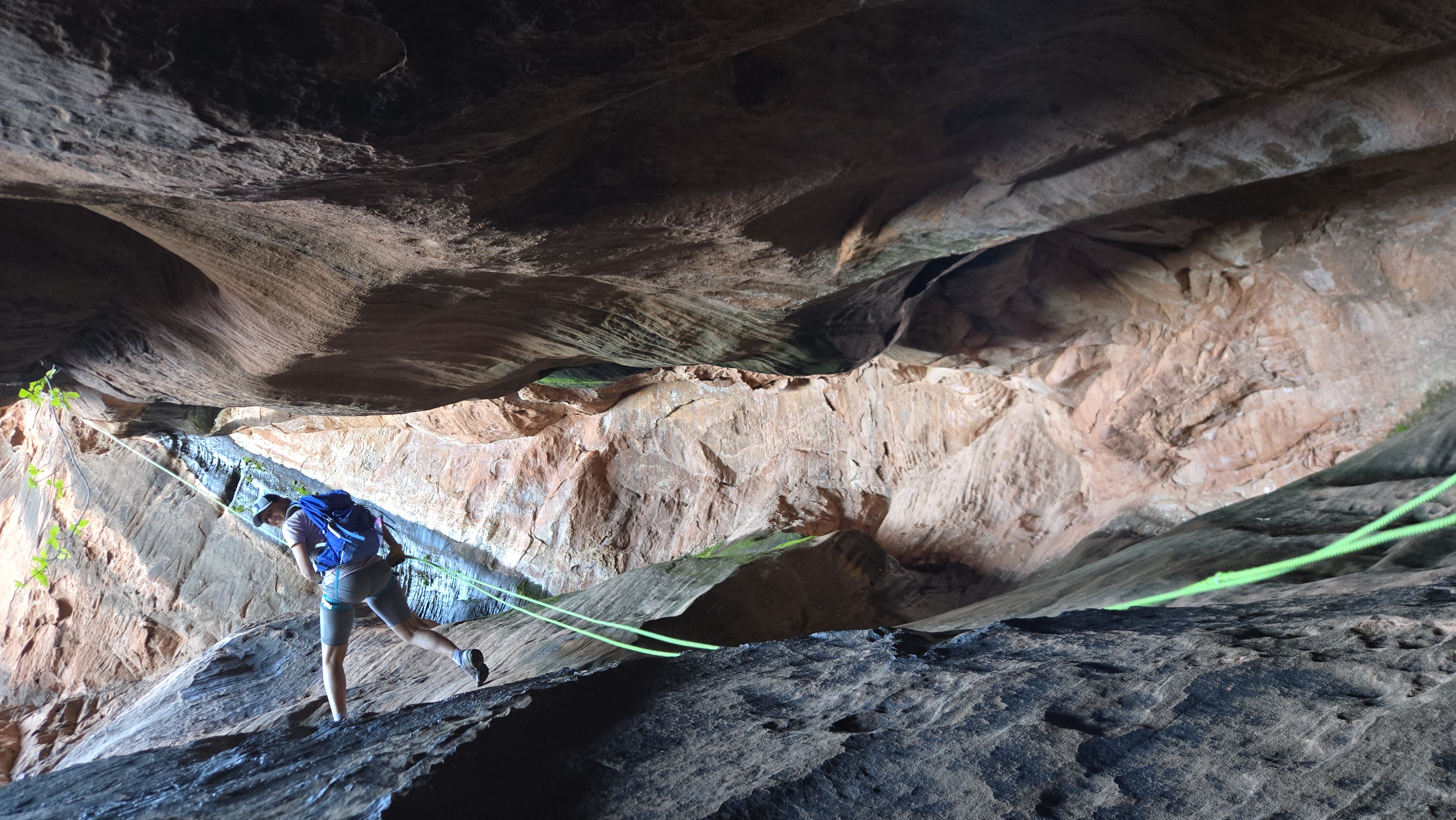 Individual or Small Group Tours