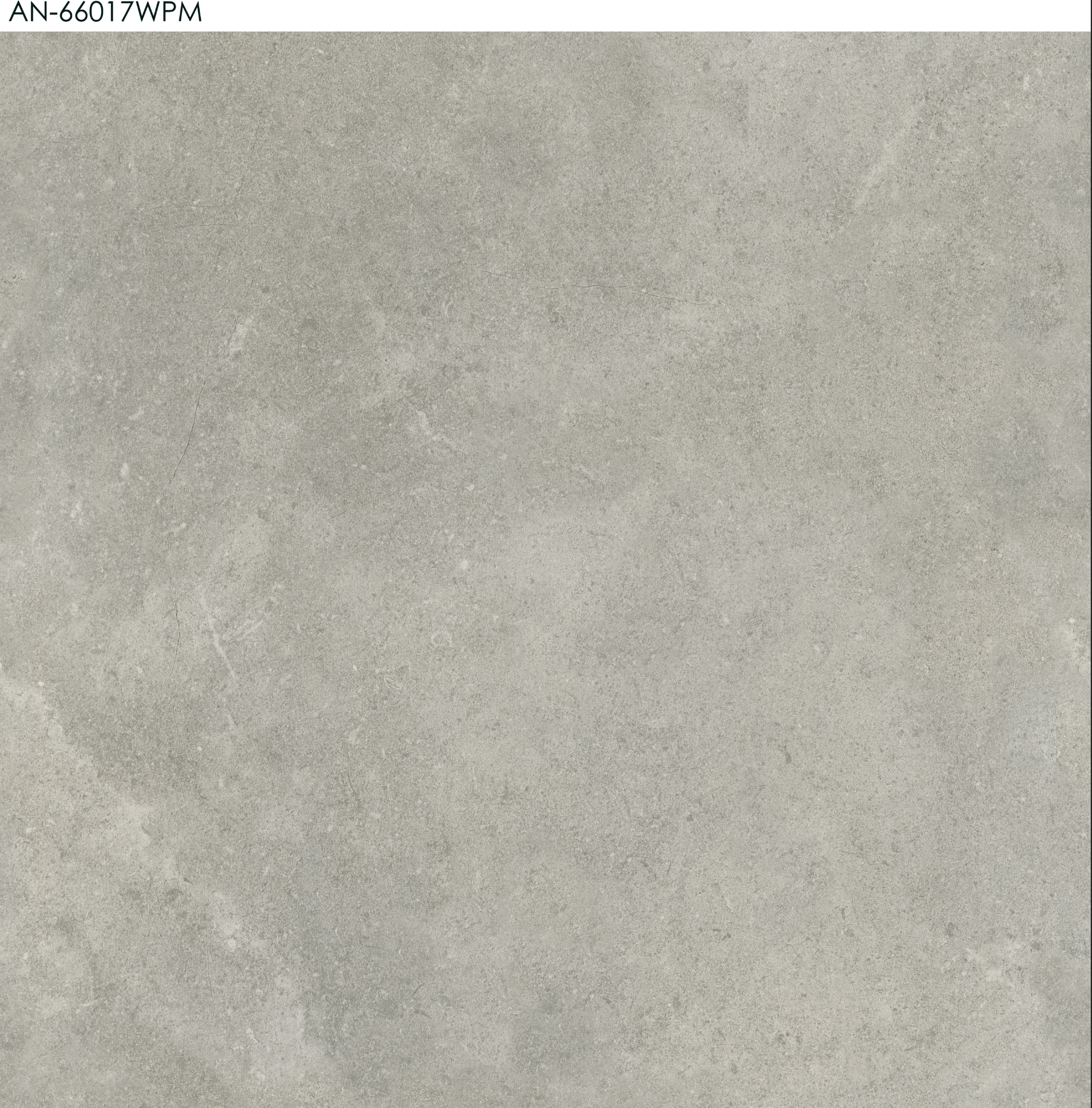 بلاط بورسلان مطفي خشن مصنع جمال 60×60