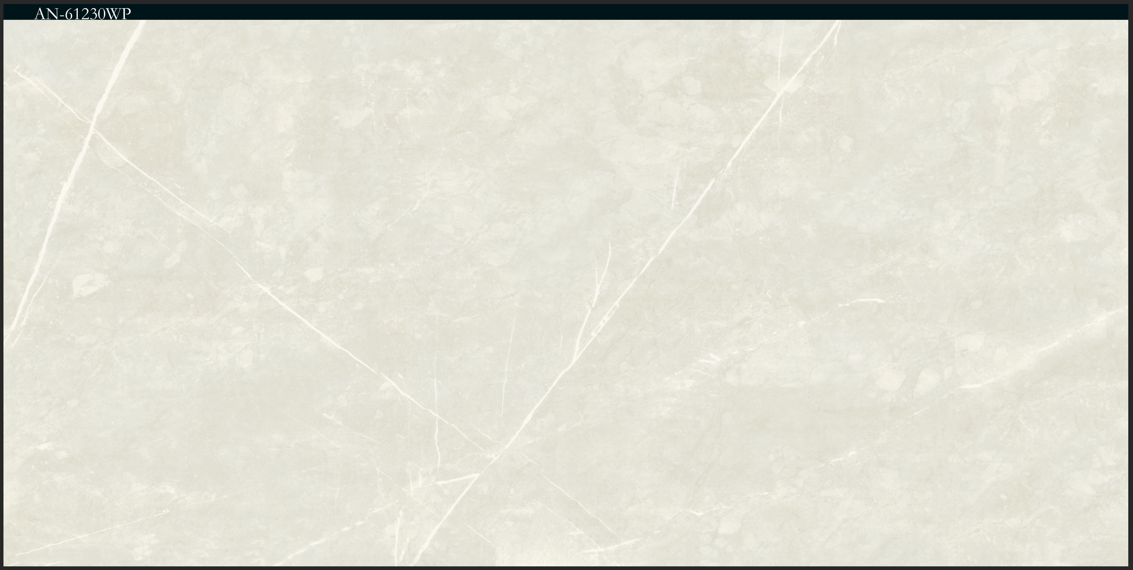 بلاط بورسلان لامع مصنع جمال 60×120