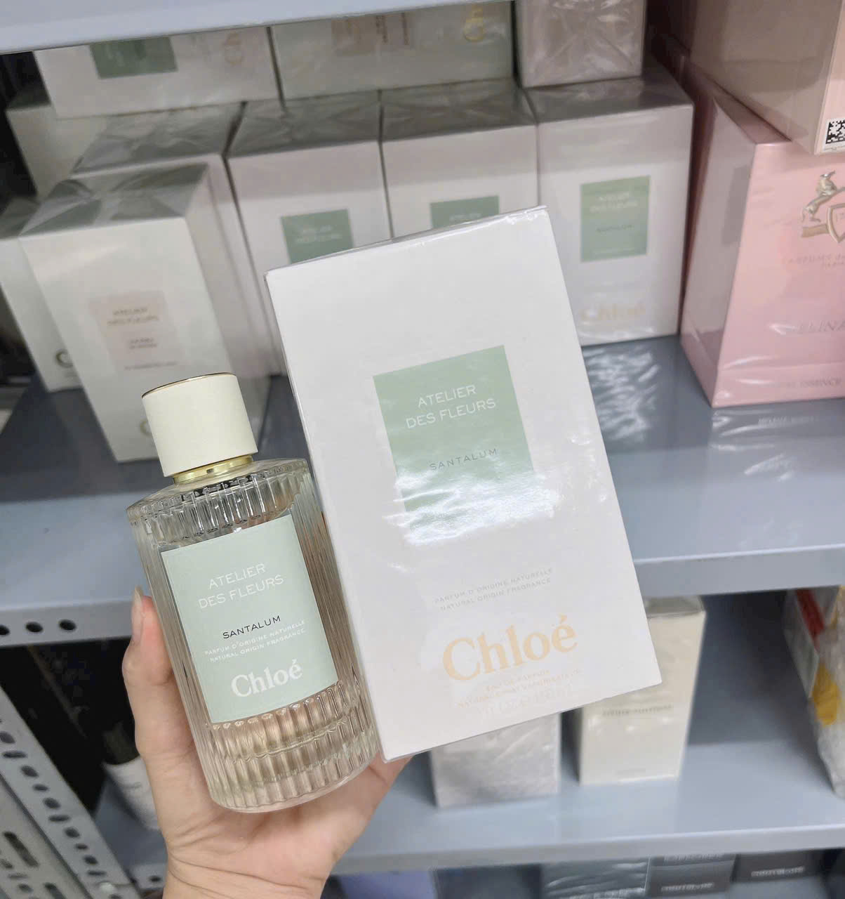 Nước Hoa Chloe Santalum