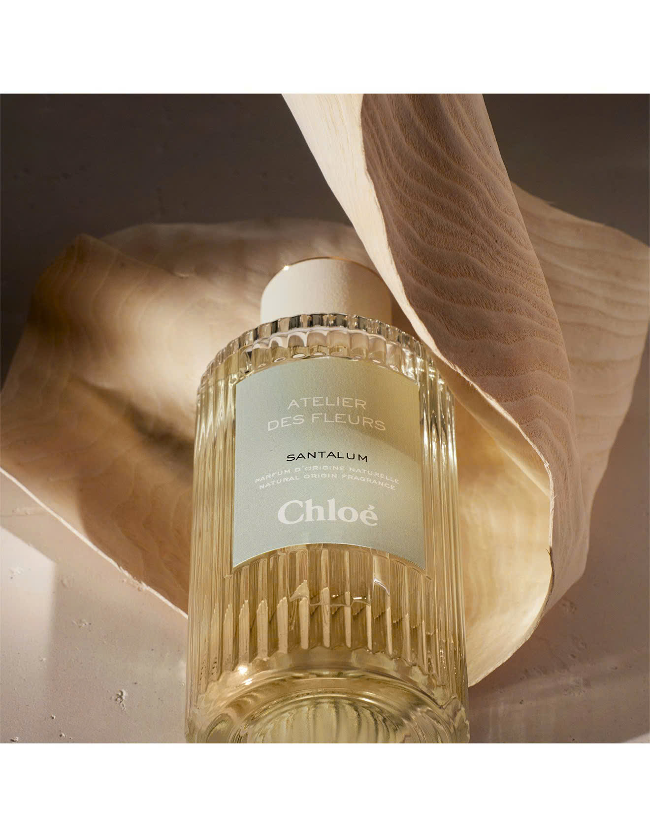 Nước Hoa Chloe Santalum