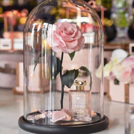 Nước Hoa Roja Parfums Elixir