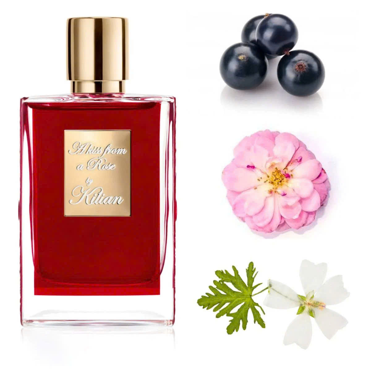 Nước Hoa Kilian A Kiss From a Rose