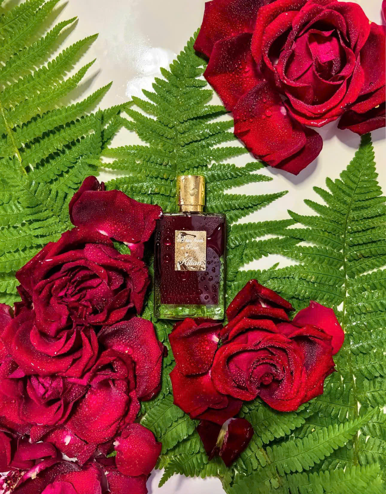 Nước Hoa Kilian A Kiss From a Rose