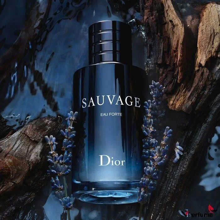 Nước Hoa Christian Dior Sauvage Eau Forte