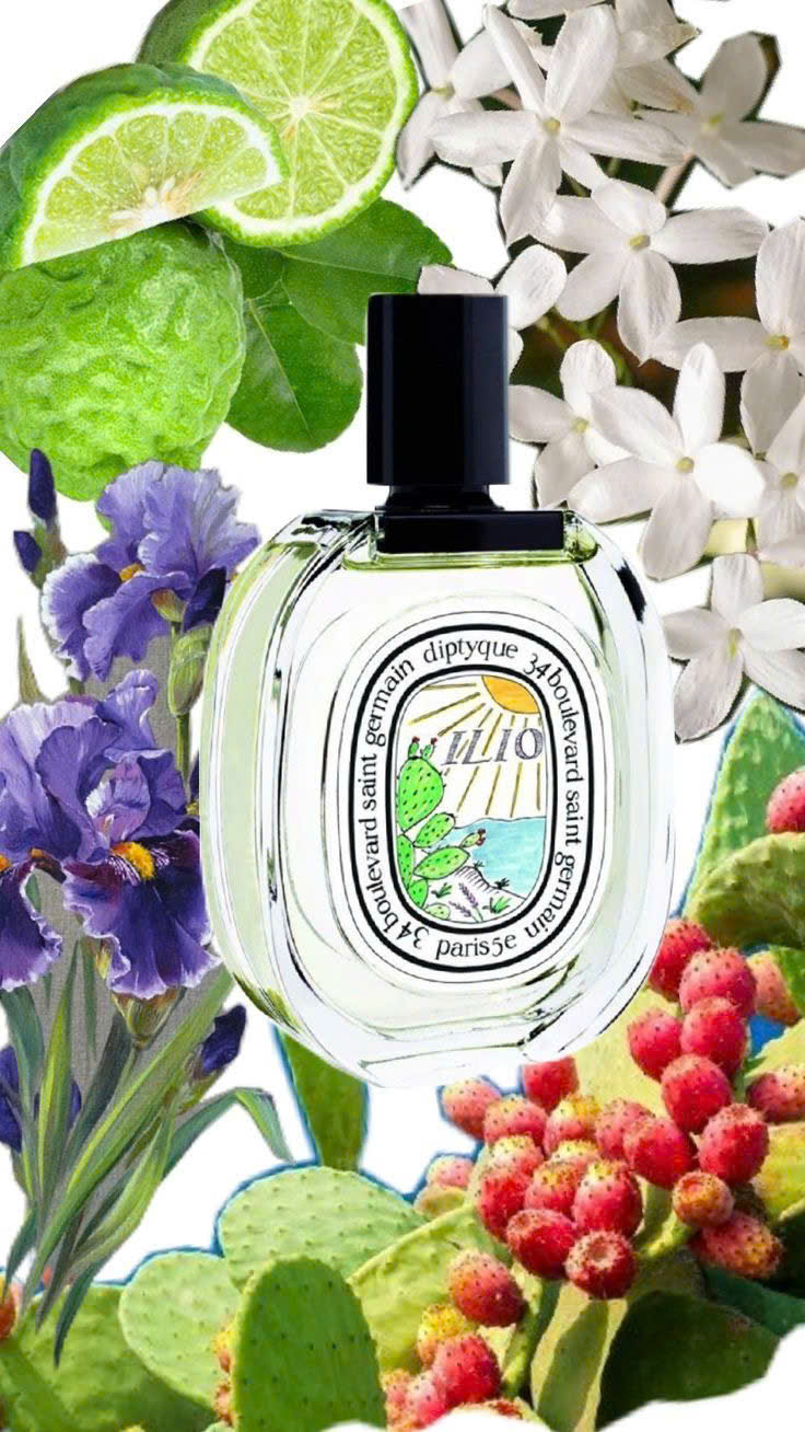 Nước Hoa Diptyque Ilio Edt