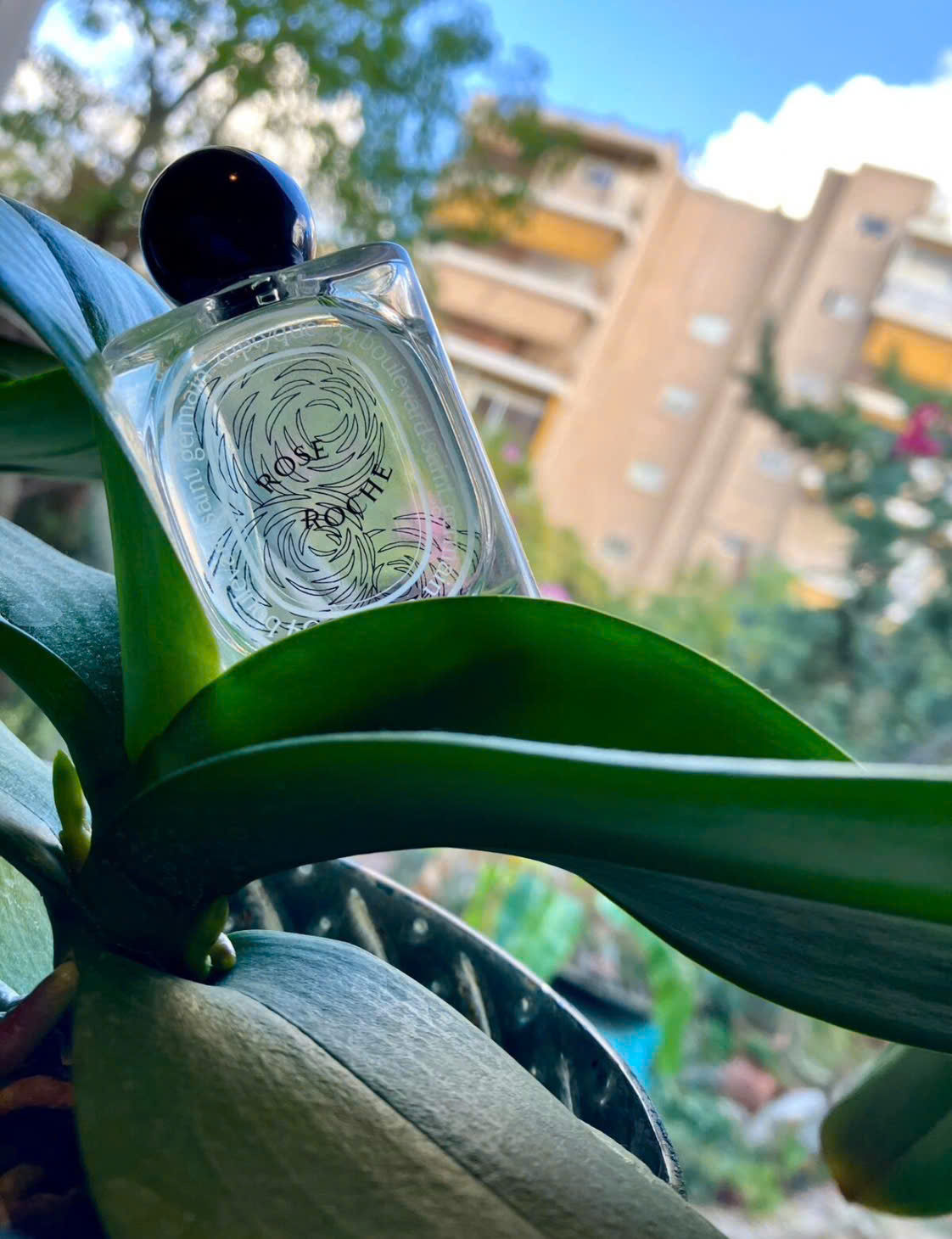 Nước Hoa Diptyque Rose Roche 2024 