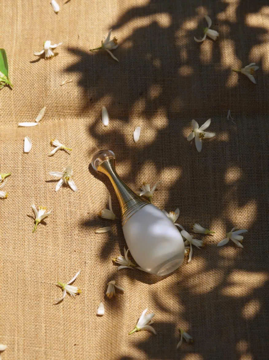 Nước Hoa Dior J'Adore D'Eau EDP