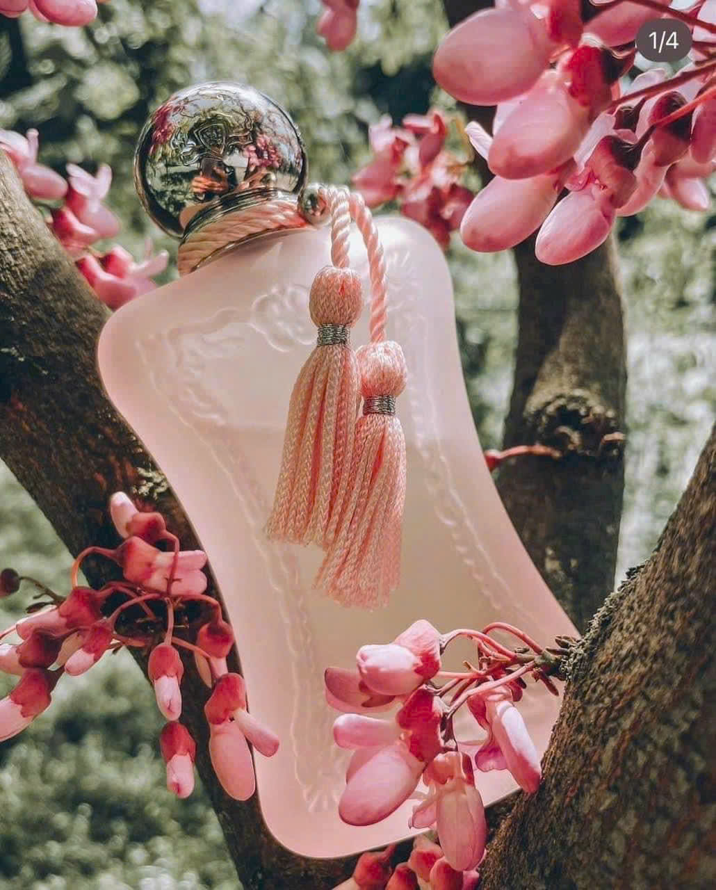 Nước Hoa Parfums De Marly La Rose