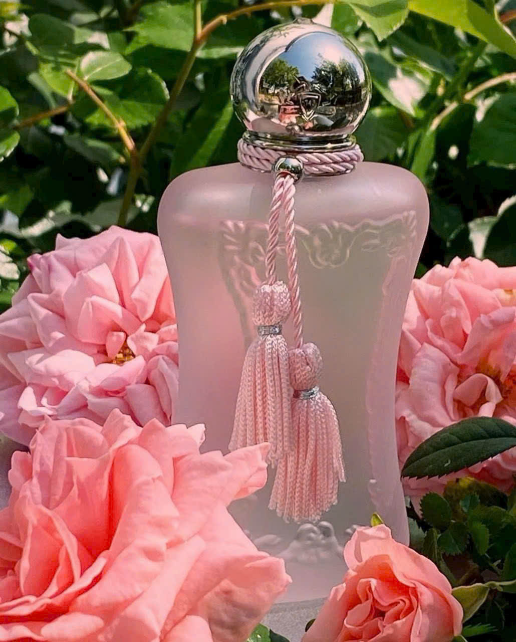 Nước Hoa Parfums De Marly La Rose