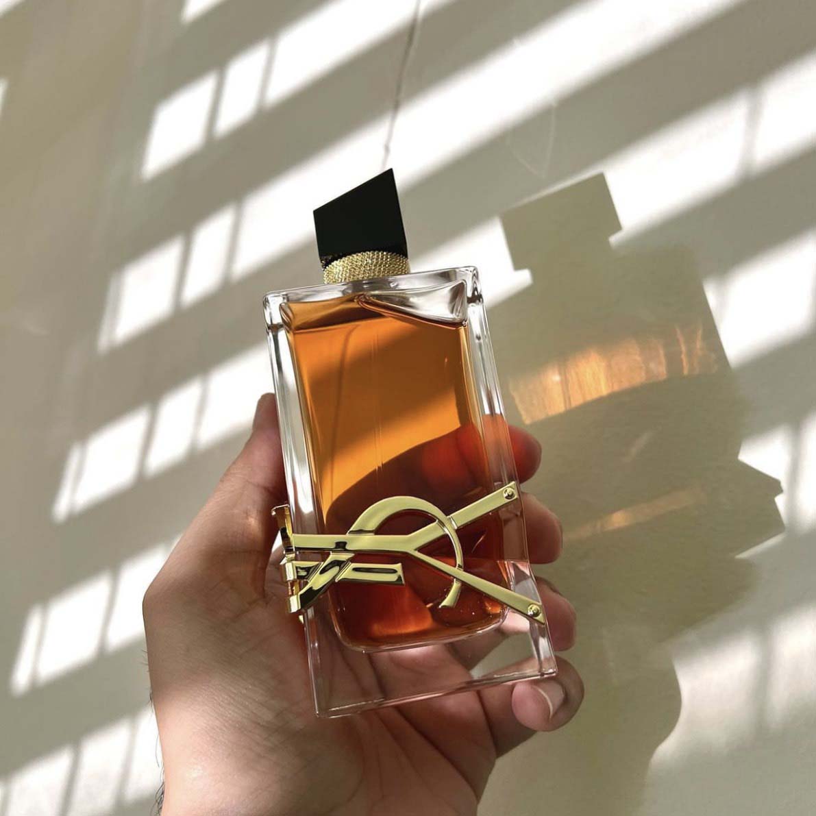 Nước Hoa Yves Saint Laurent YSL Libre Le Parfum 2022