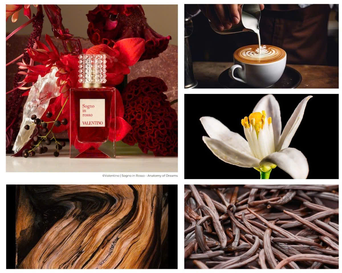 Nước Hoa Valentino Sogno In Rosso 2024
