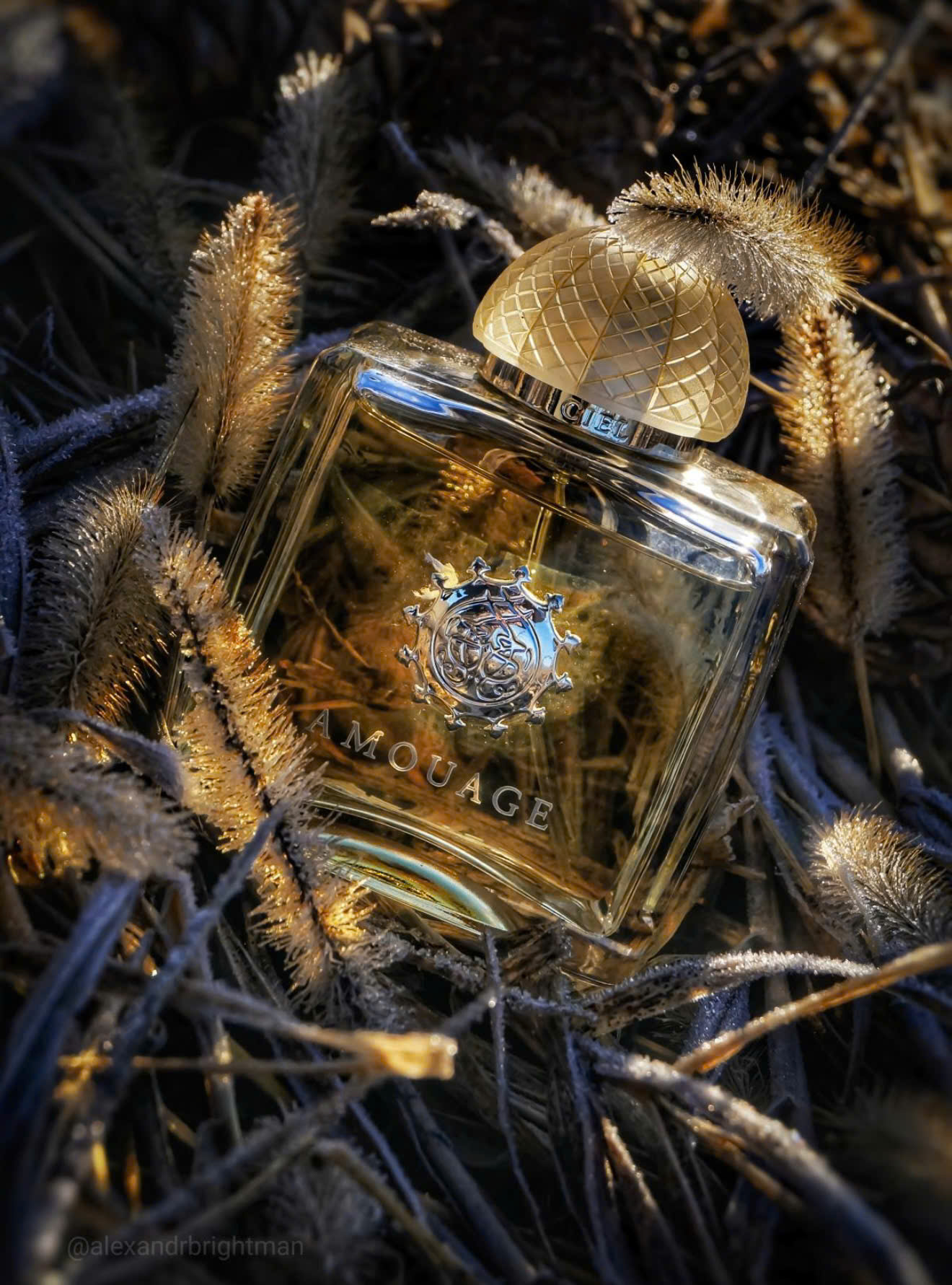 Nước Hoa Amouage Ciel