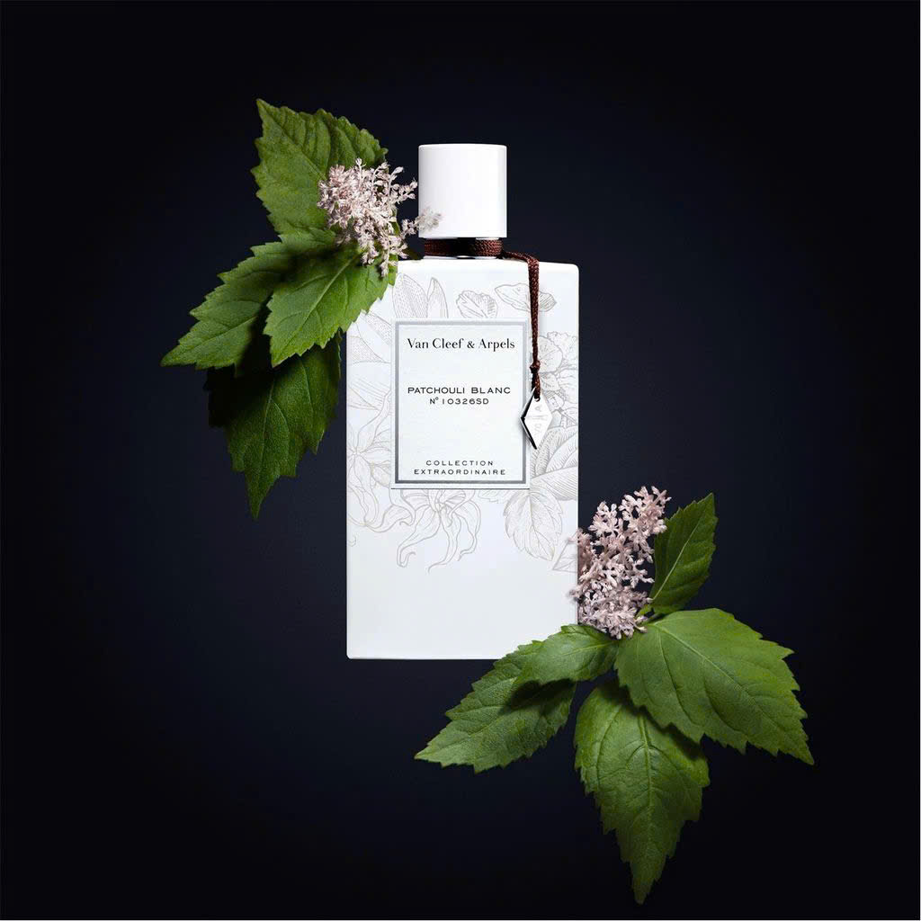 Nước Hoa Van Cleef & Arpels Patchouli Blanc 