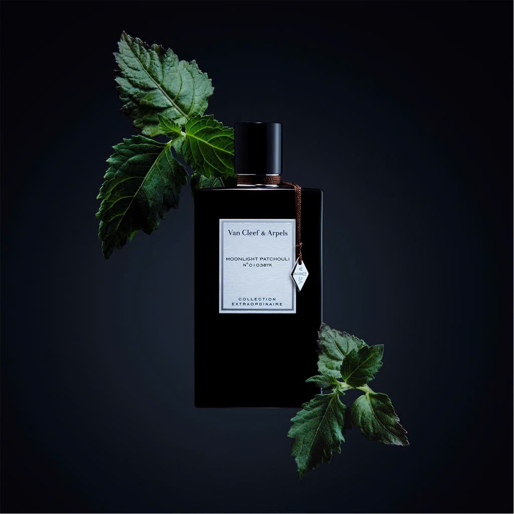 Nước Hoa Van Cleef & Arpels Moonlight Patchouli