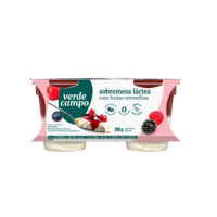 Sobremesa Frutas Vermelhas 100gr