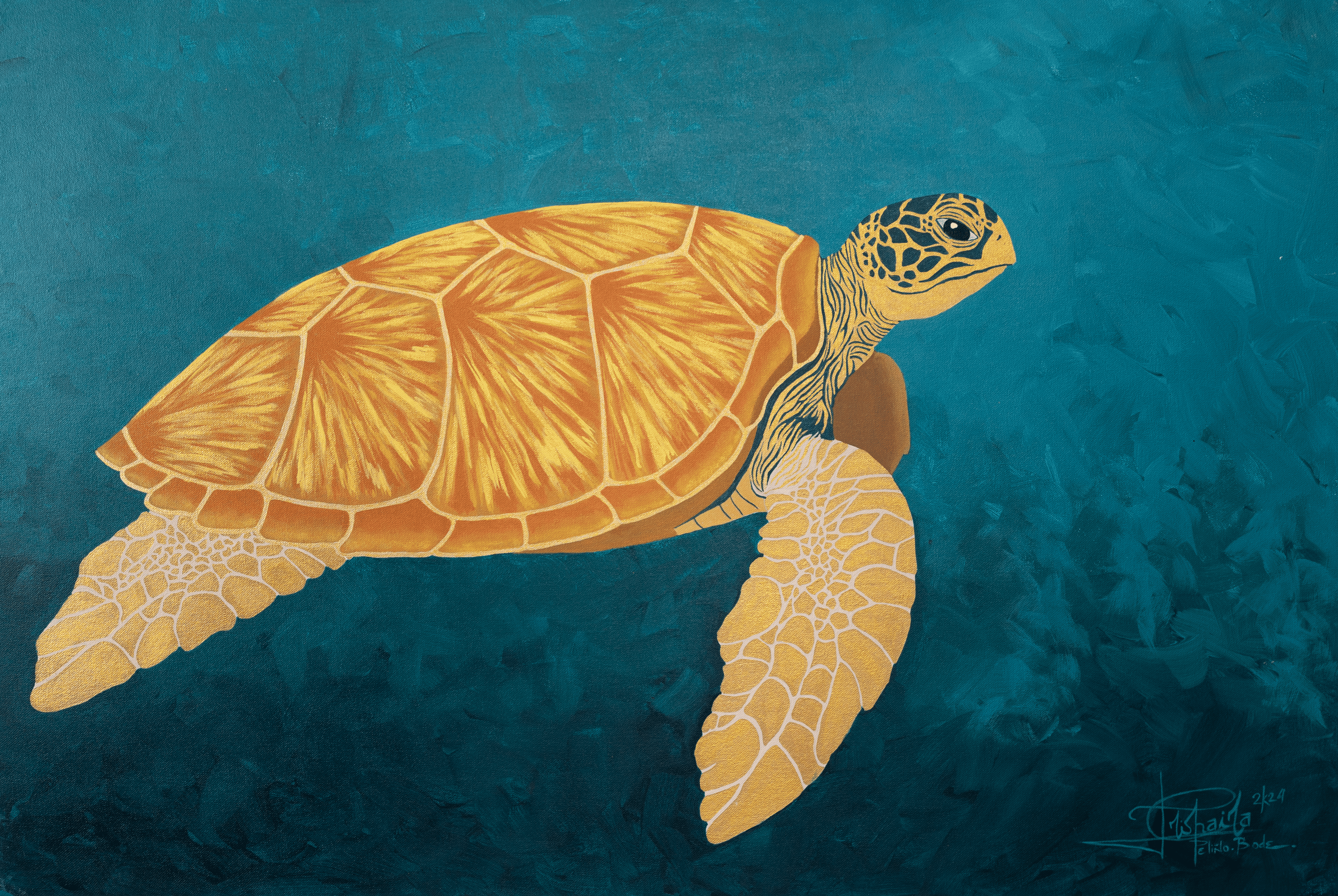 "Turtle Island 6" (Apo Island)
