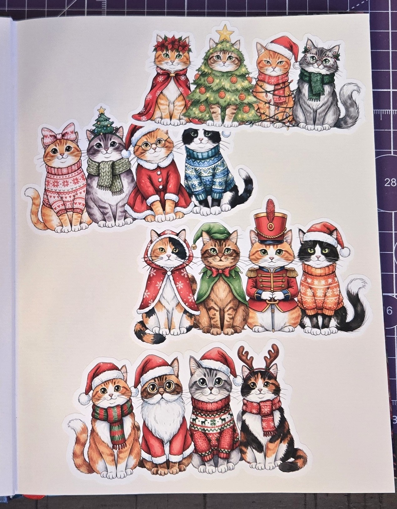 Holiday Cat Illustration Set