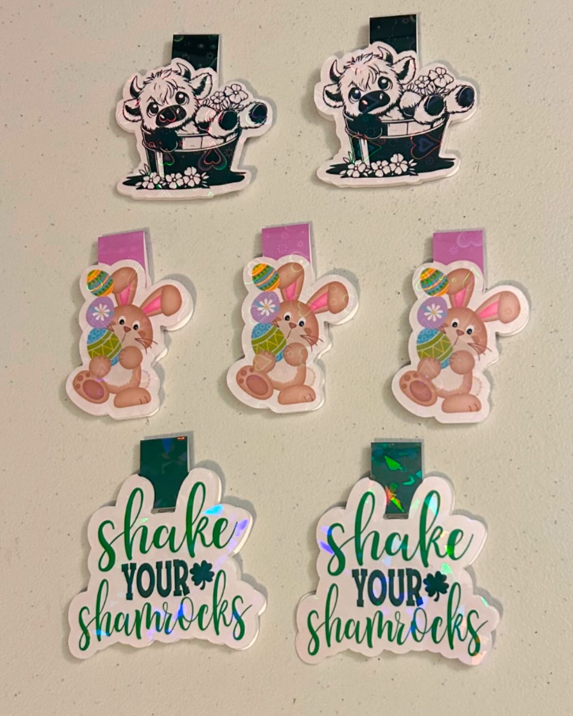 Assorted Magnetic Bookmarks