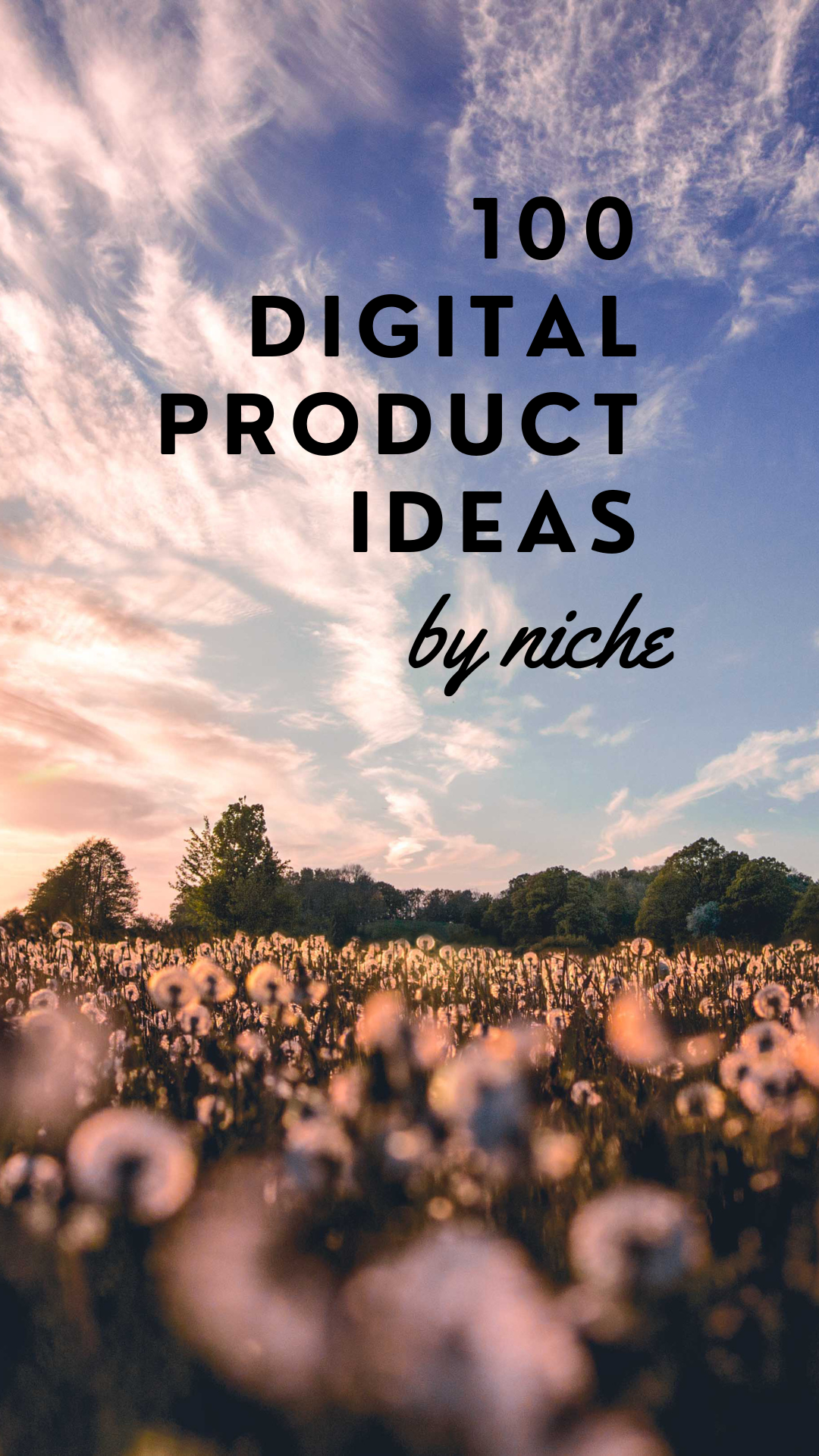 100 Digital Product Ideas - By Niche