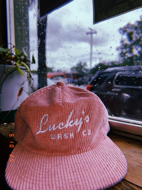 Pink Pony 