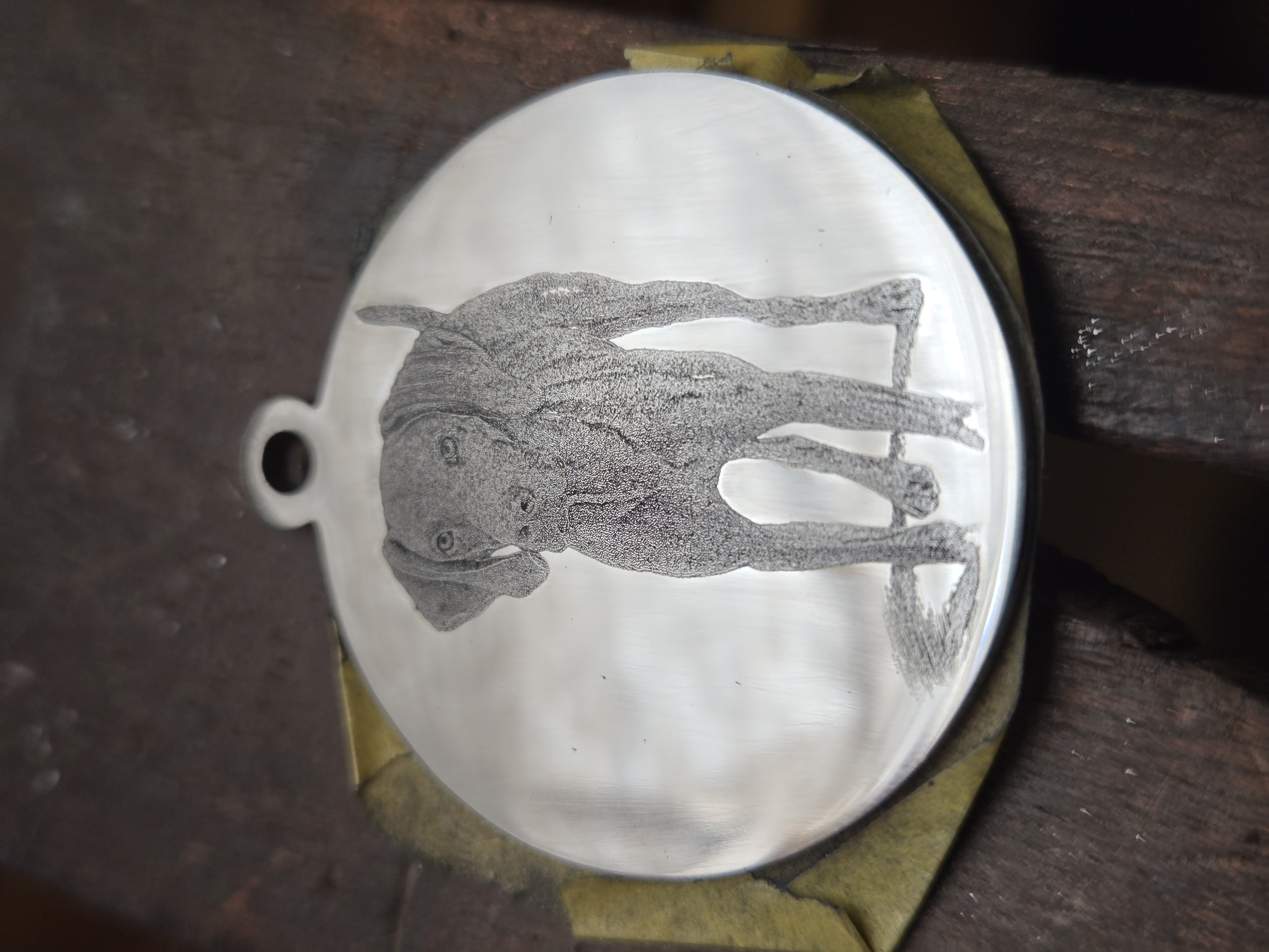 Custom Stainless Steel Pet ID Tag (Laser Engraved)