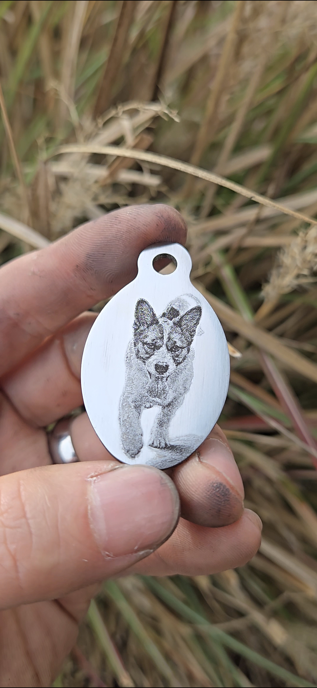 Custom Stainless Steel Pet ID Tag (Laser Engraved)