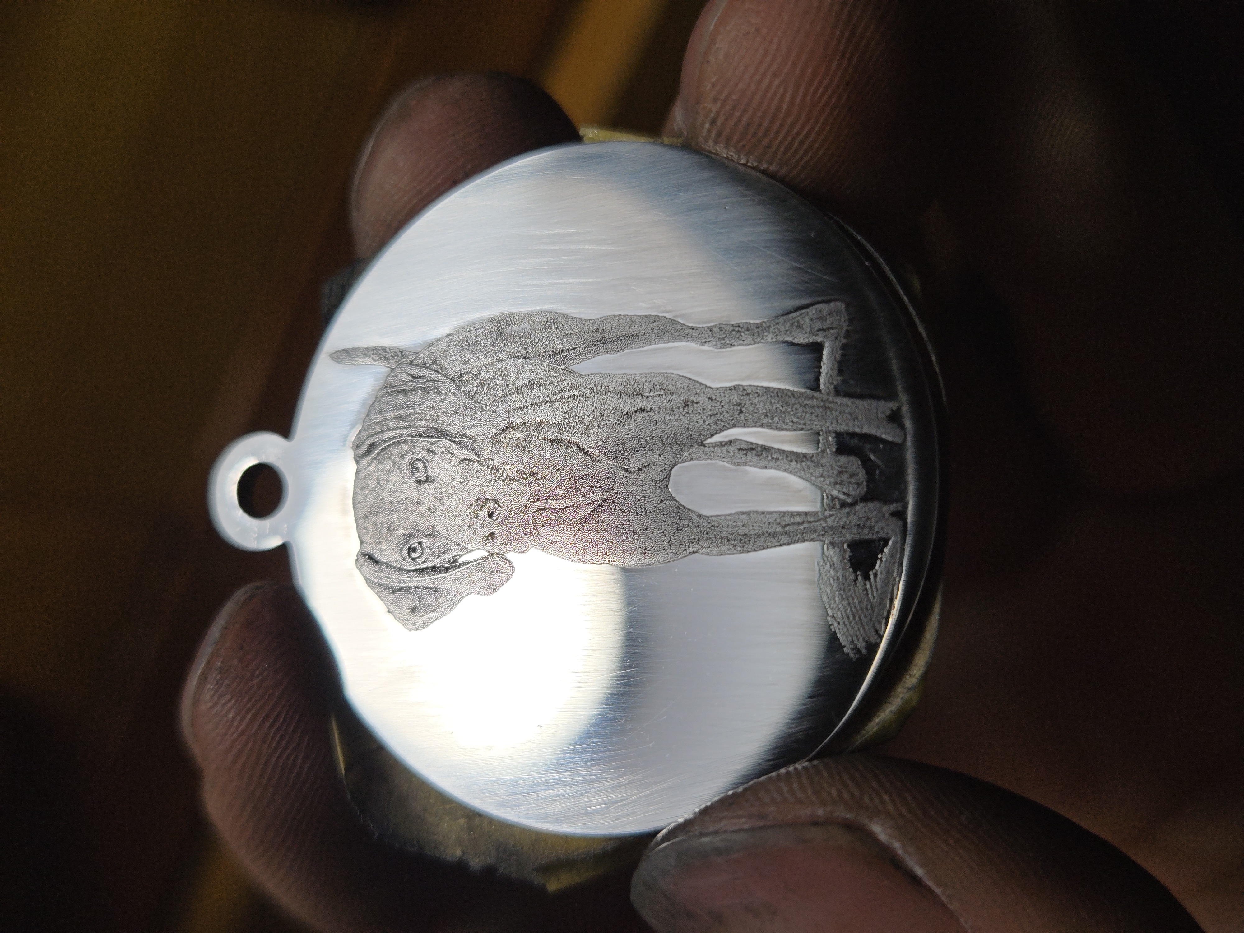 Custom Stainless Steel Pet ID Tag (Laser Engraved)