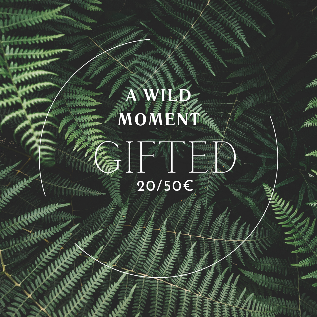 A Wild Moment, Gifted