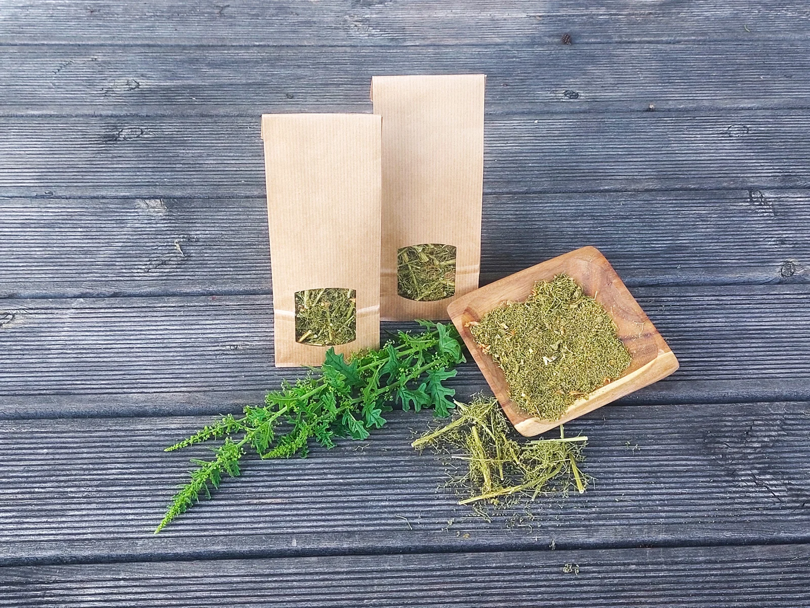 Dried Schrader’s Goosefoot – Chenopodium schraderianum