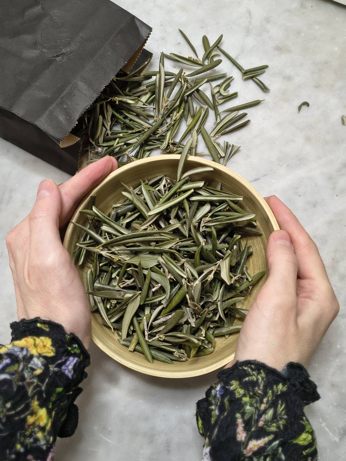 Dried Olive Leaves (Olea europaea L.) – Mediterranean Leaf of Light