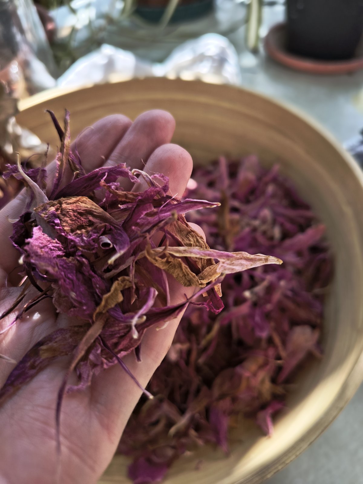 Botanical Bath Poultice – Herbal Washcloth for Sensitive Skin, Wildflower Blend for Ritual Bathing & Body Care