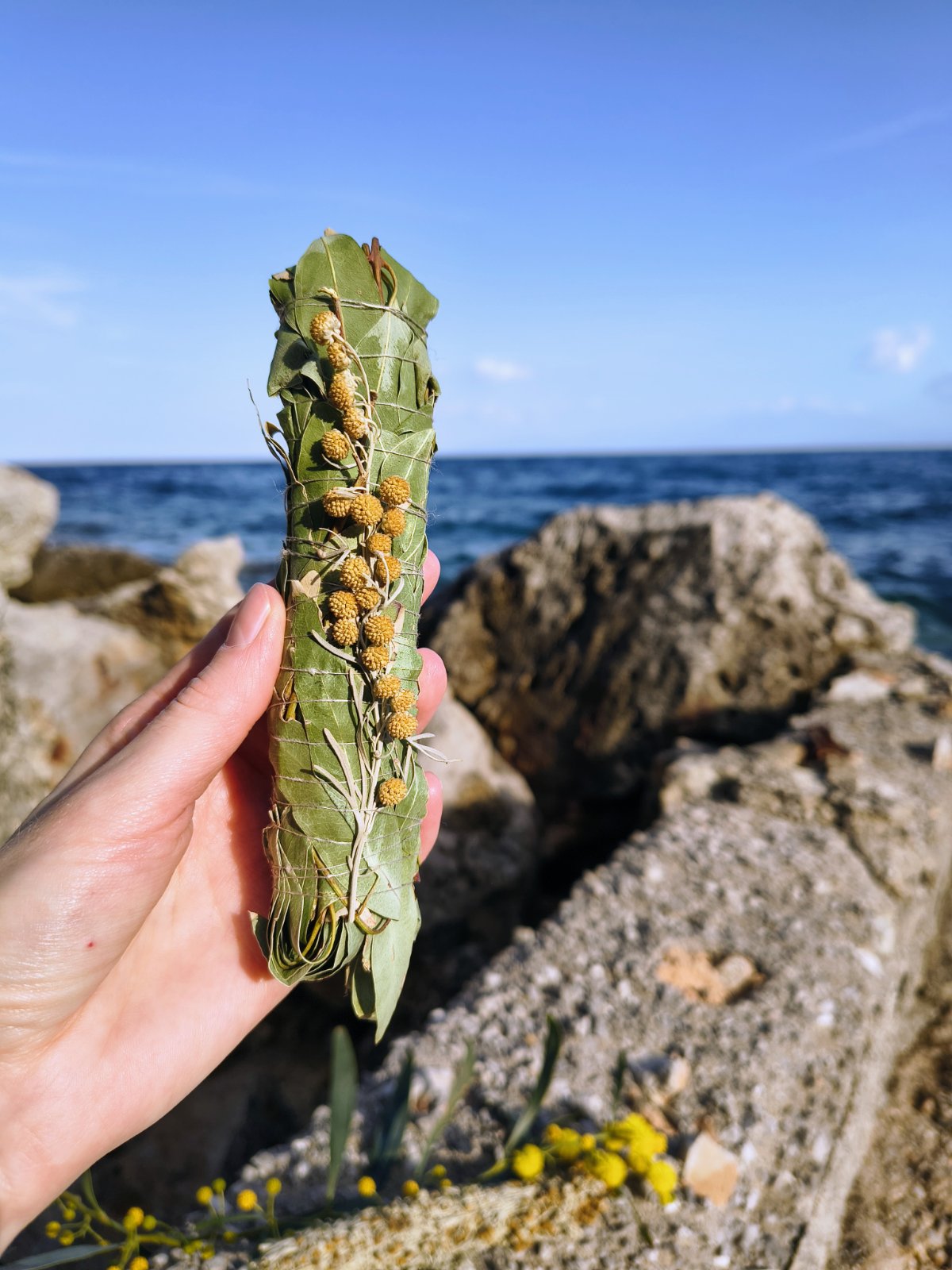 Tied Eucalyptus Incense Bundle – Wildcrafted Eucalyptus citriodora Smudge Stick for Outdoor Use & Ritual Smoke