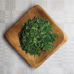 Dried Skullcap – Scutellaria lateriflora