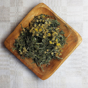 Dried Tansy – Tanacetum vulgare