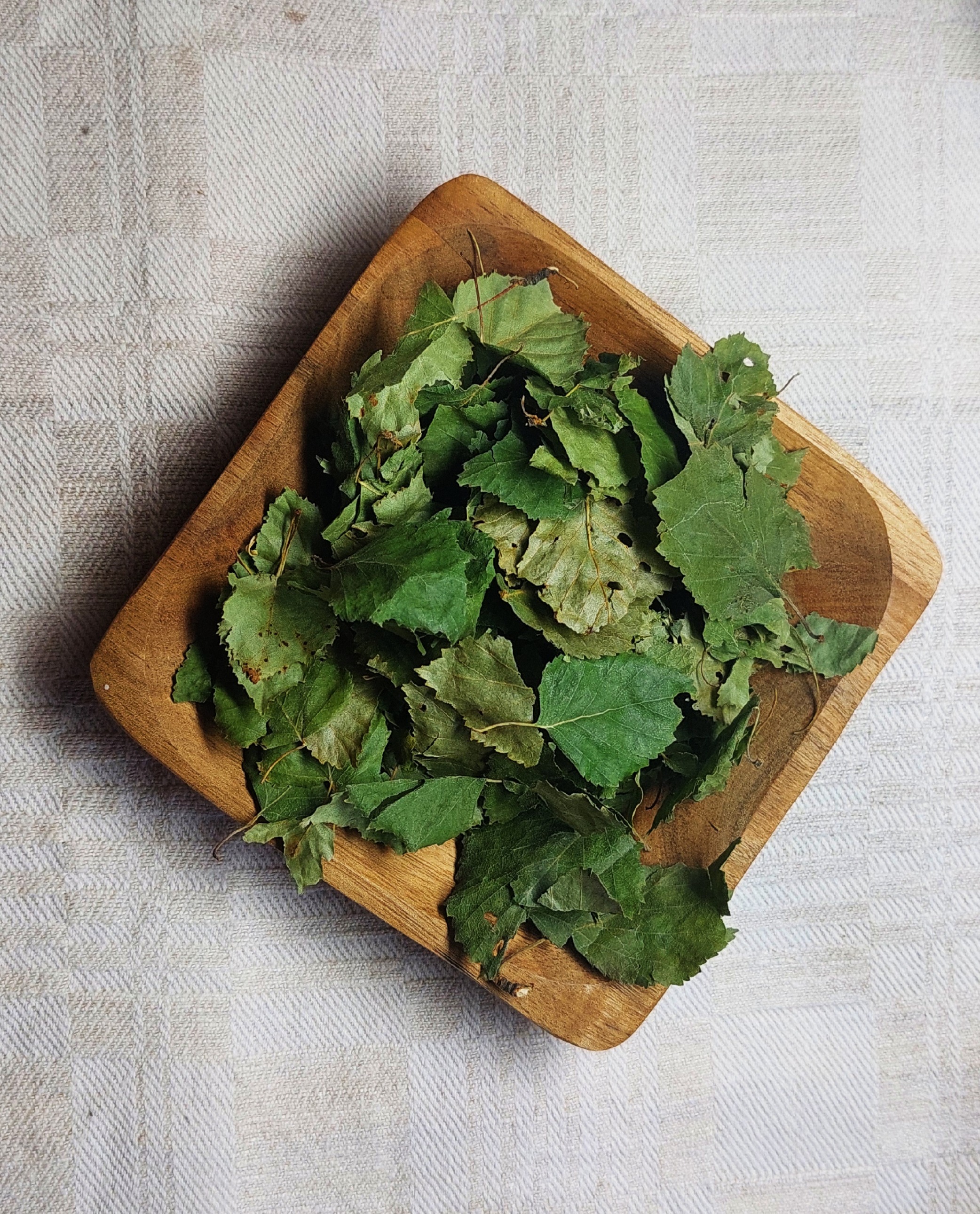 Dried Birch Leaves – Betula pendula