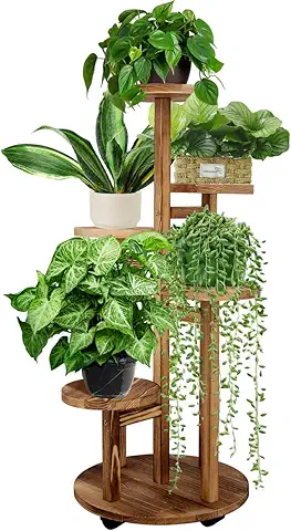 plants