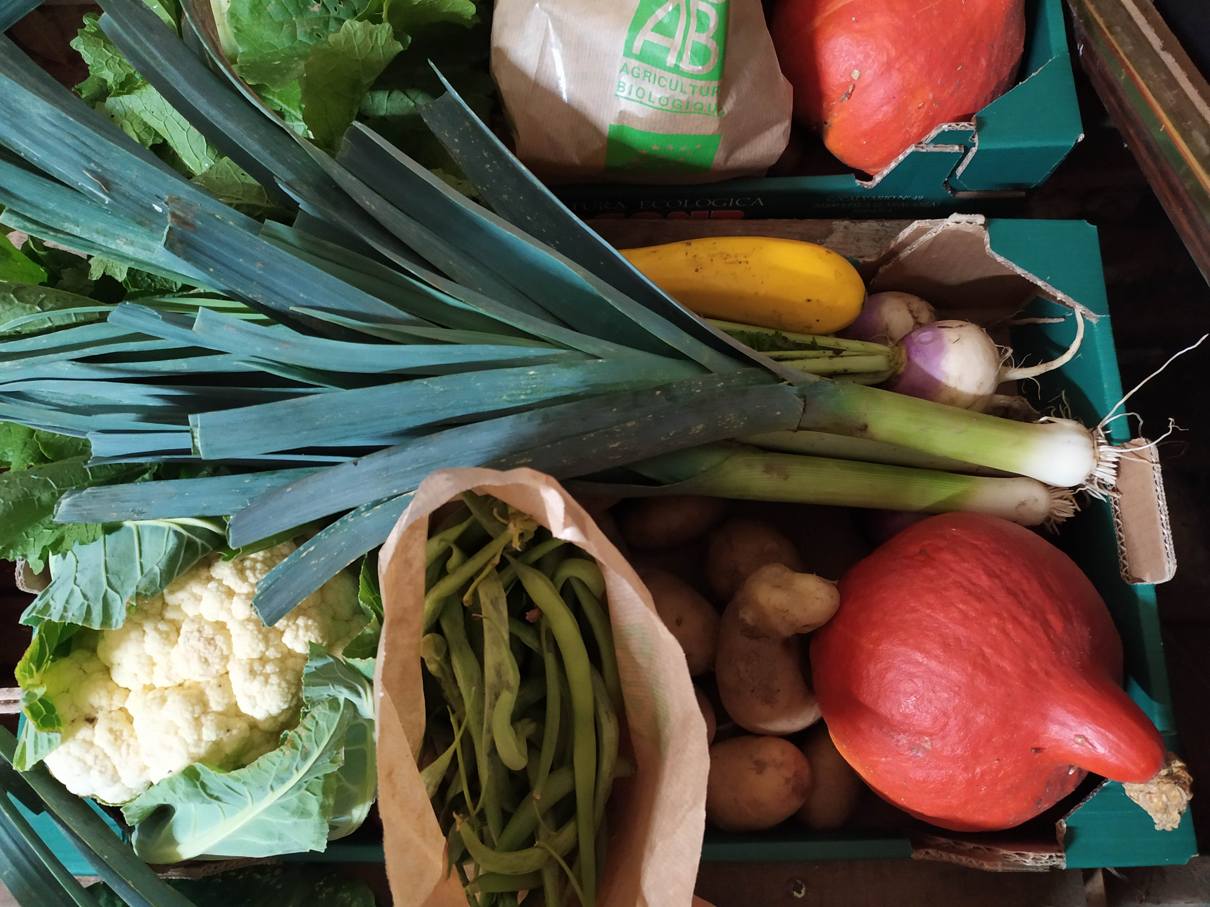 Panier de légumes bio