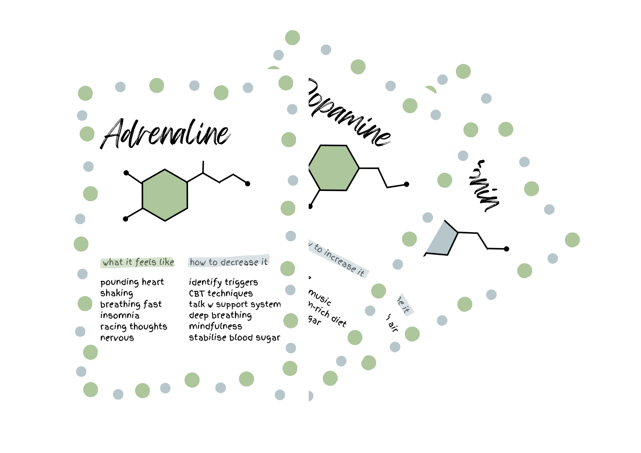 Neurochemical Poster Bundle Green